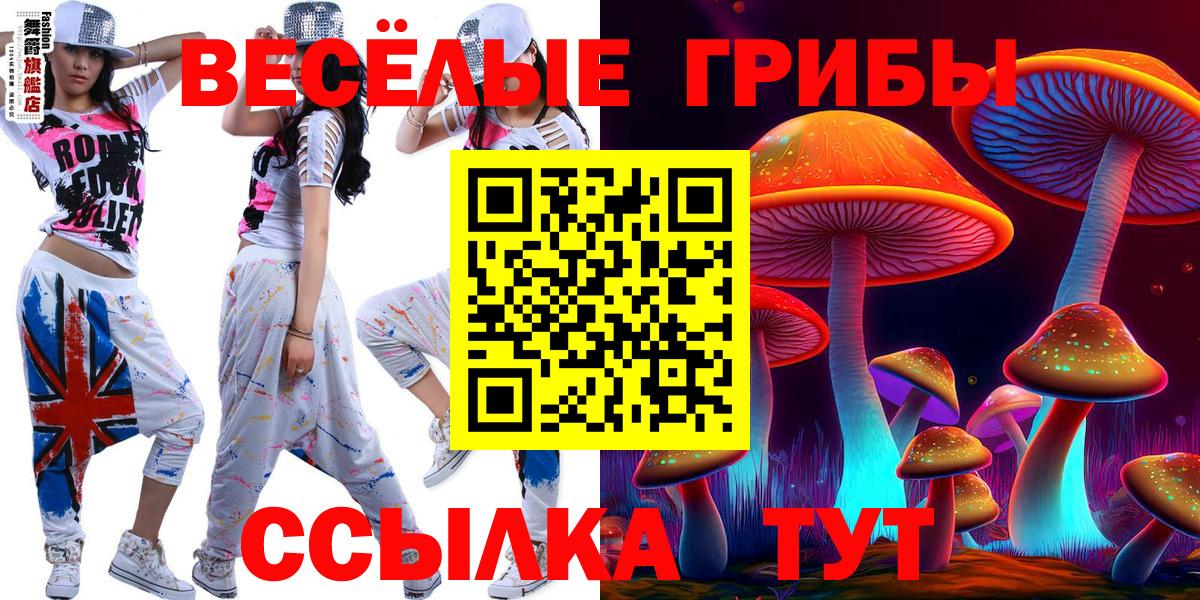 Вышний Волочёк  Галлюциногенные грибы MAGIC MUSHROOMS  Вход с VPN 